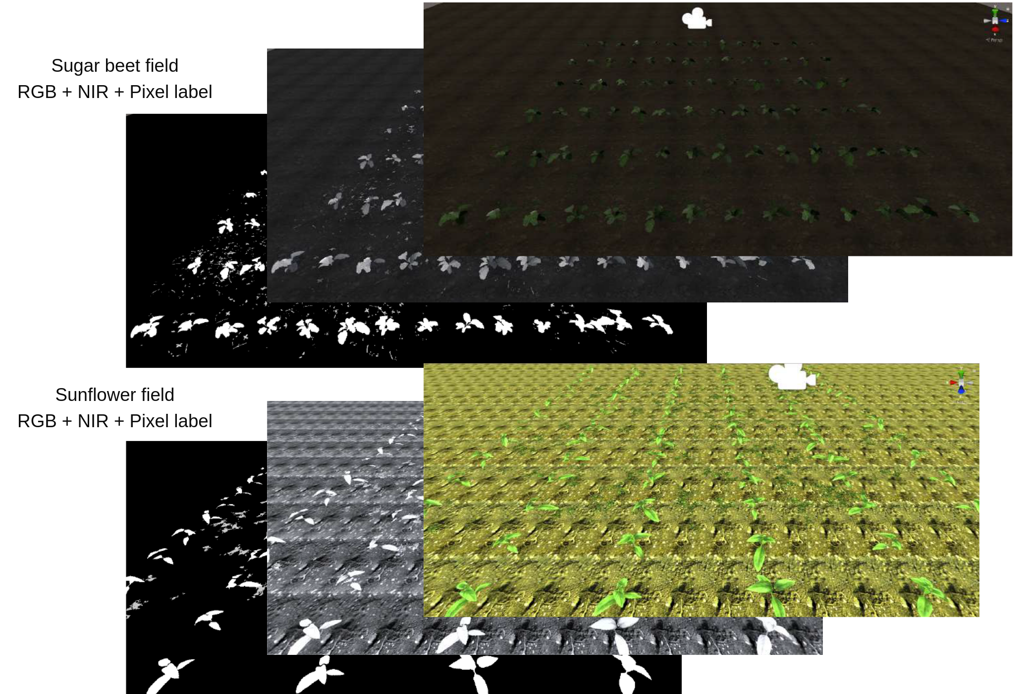 Simulated plants screenshot